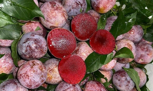 Considerations for diabetics when eating fruit