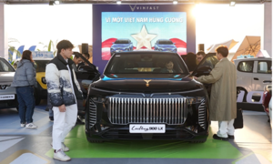 Dozens of VinFast vehicles draw crowds at exhibition