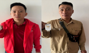 Prostitution ring 'Dao Dao Hoa' dismantled