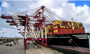 MSC and Shandong Port open container yard in Qingdao
