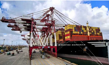 MSC and Shandong Port open container yard in Qingdao