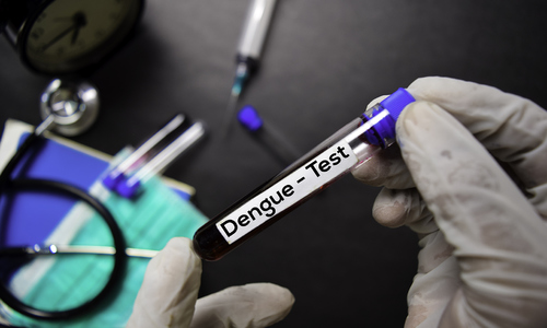 Are people with blood type O more susceptible to dengue shock?