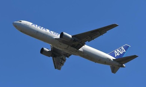 ANA restructures cargo division after NCA acquisition