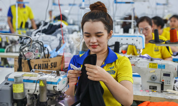 Average worker income in 2025 reaches 8,31 million VND per month