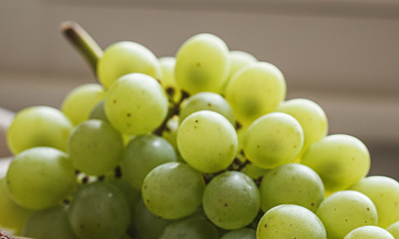 Eating grapes in the evening can promote good sleep