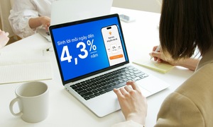 How VIB transforms "sleeping money" into profitable capital flow