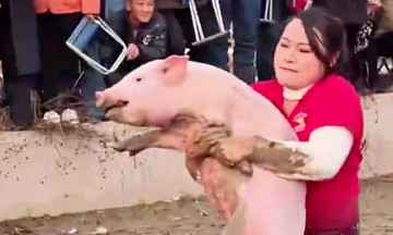Girl gains fame for pig-catching skill
