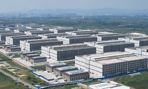 China faces pork oversupply due to 'pig apartment' farming model