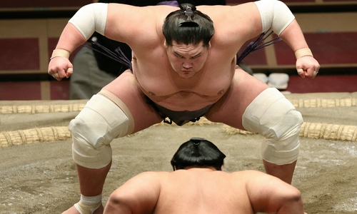 Why do Mongolians dominate sumo?
