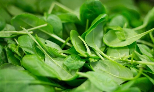 5 'enemy' green vegetables for kidney patients