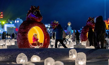 Ice and snow festival welcomes new year in Inner Mongolia