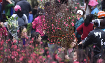 Two months' pension to be paid early before Tet Binh Ngo