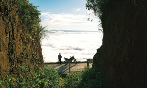 Ta Xua listed among top 26 global destinations for 2026