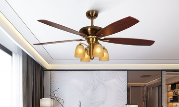 Fanxi ceiling fan brand launches in Vietnam