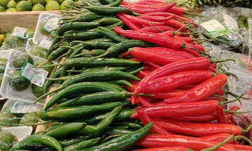 Record chili exports reach over 2,650 billion dong