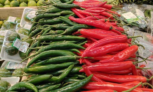 Record chili exports reach over 2,650 billion dong
