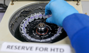 Sexually transmitted infections loom after year-end festivities