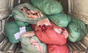 Dozens of sacks of foul-smelling food discovered