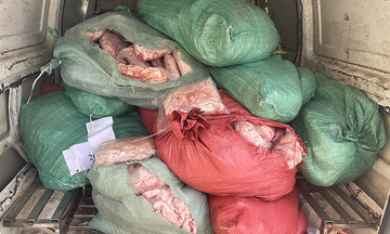Dozens of sacks of foul-smelling food discovered