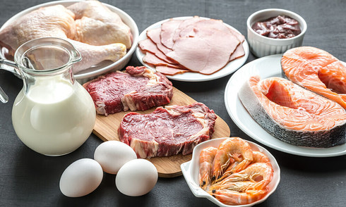 Can a pure protein diet aid weight loss?