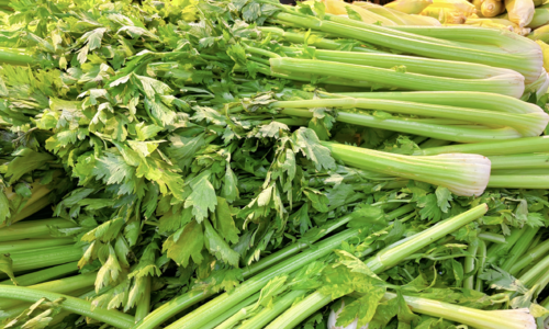 Health benefits of celery