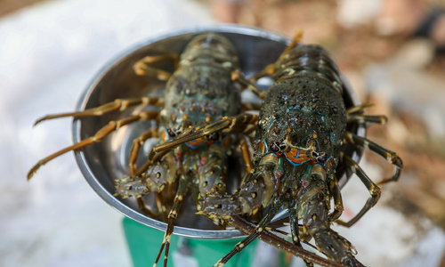 Seafood exports surpass 11 billion USD