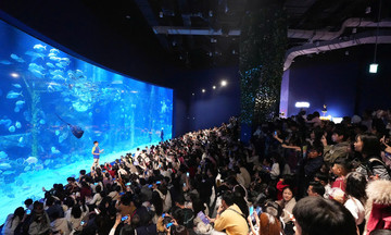 Hanoi shopping malls packed with visitors during holiday