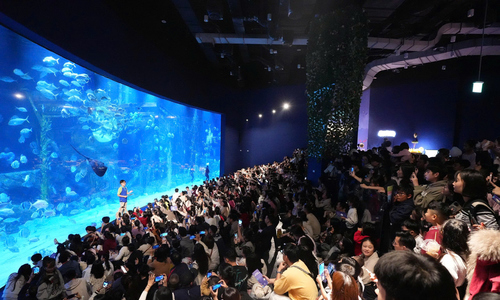 Hanoi shopping malls packed with visitors during holiday