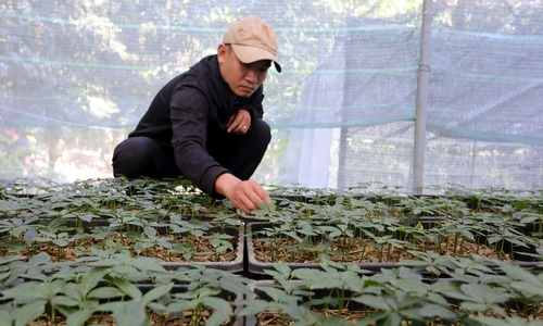 Da Nang to support OCOP products with hundreds of millions of VND