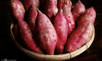 5 vitamin E-rich foods to eat daily