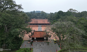 Lam Kinh national relic tour guide suspended