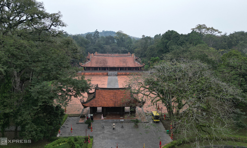 Lam Kinh national relic tour guide suspended