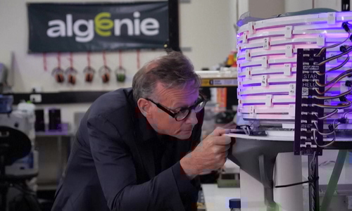 Australia develops algae cultivation machine for plastics and food industries