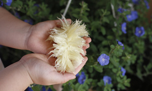 6 fiber-rich fruits to aid weight loss