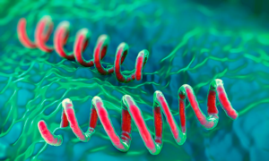 Syphilis outbreak in East Asia, Japan records over 13,000 cases