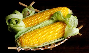 Microwave corn in 5 minutes: a water-free method