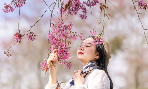 Sa Pa leads Asia's tourism growth