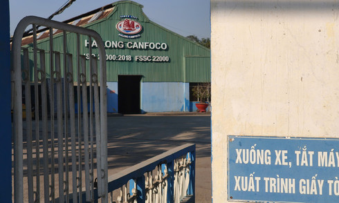 Two tons of pate from Ha Long Canned Food Company destroyed due to diseased pork ingredients