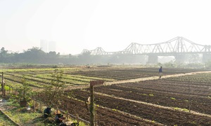 Hanoi's air quality returns to very unhealthy levels