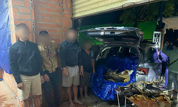 Police raid 'factory' slaughtering stolen dogs, seizing over 1.6 tons