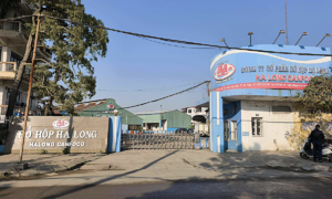General director of Ha Long Canned Food Company arrested