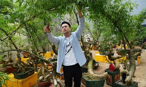 The unique art of transforming bamboo roots into bonsai