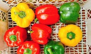 Five vegetables and fruits for healthy eyes