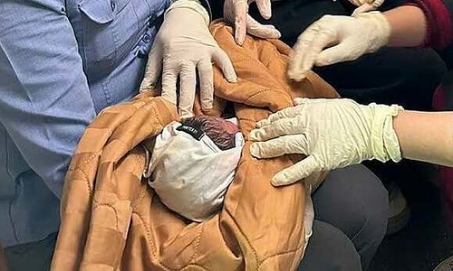 Woman gives birth to baby boy on north-south passenger train