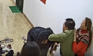 Woman assaulting neighbor at Hanoi apartment complex temporarily detained