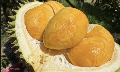 Vietnamese fruits and vegetables see strongest growth in China