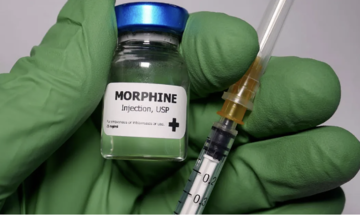 Does morphine hasten death?