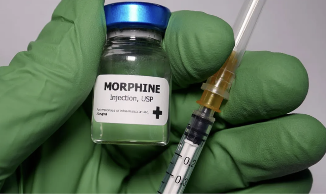 Does morphine hasten death?