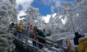 Southeast Asian tourists flock to China for snow viewing