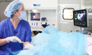 The single embryo that brought happiness to an infertile couple